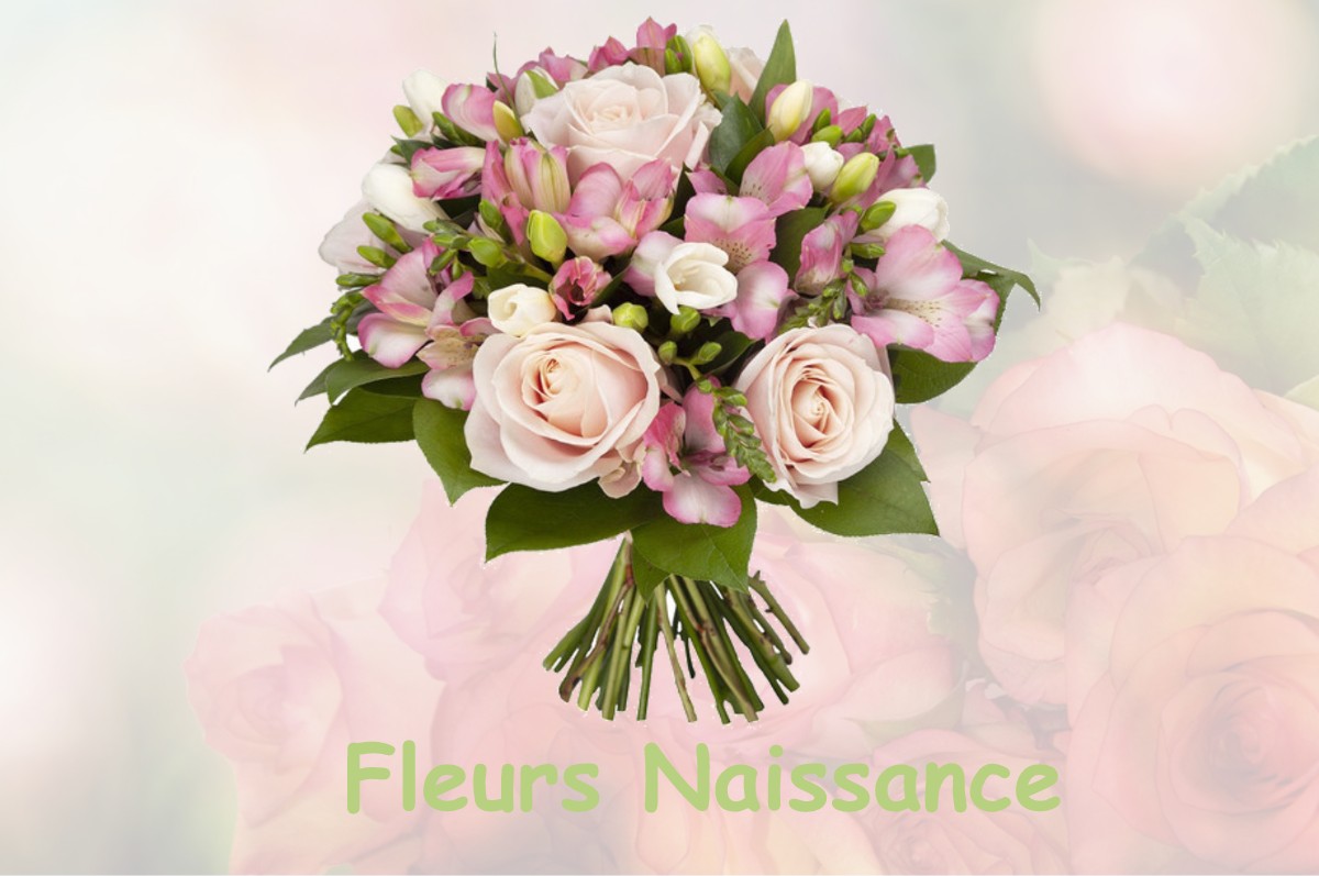 fleurs naissance CHEMENOT