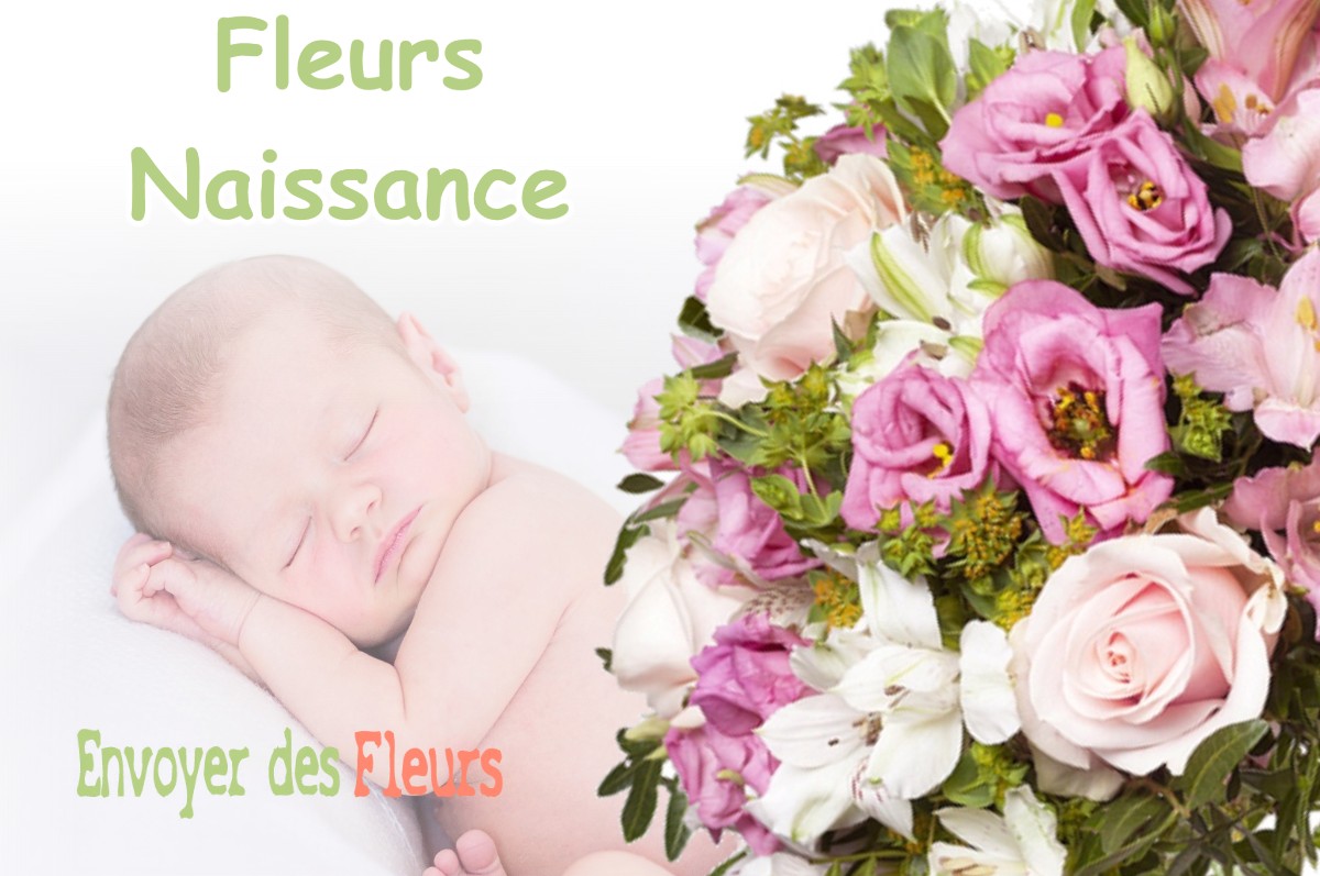 lIVRAISON FLEURS NAISSANCE à CHEMENOT